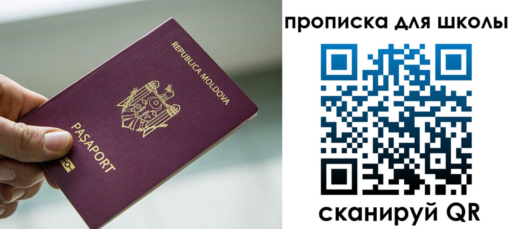 прописка в квартире в Фокино